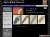 Artist and Craft Brushes